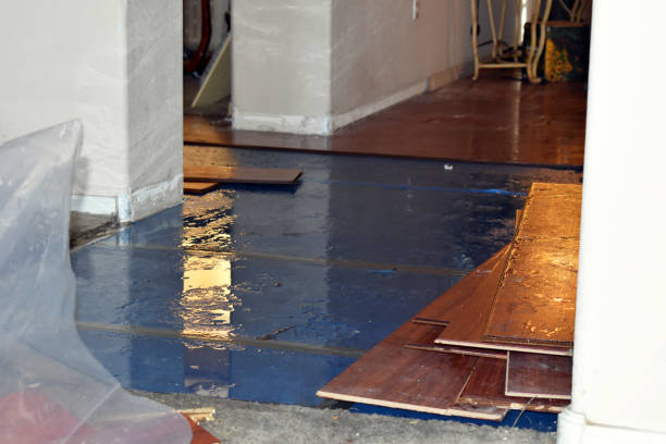 Professional Flood Damage Repair technician working in Hope, MI